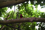 DSC_9071.JPG
